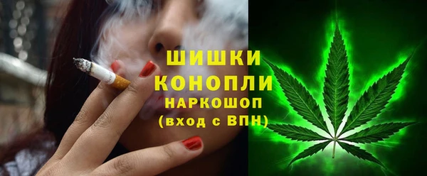 тгк Горнозаводск