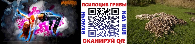 Галлюциногенные грибы мицелий  Купить где  Карачаевск 